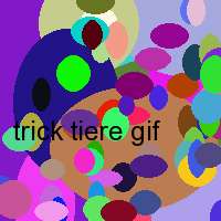 trick tiere gif